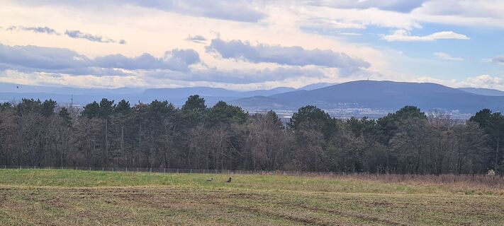 Fotografia z Alexandra Stani na trase