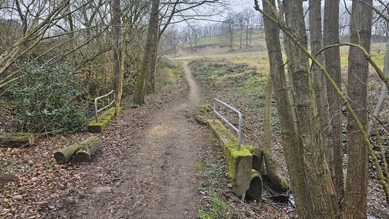 Weg Naturlehrpfad