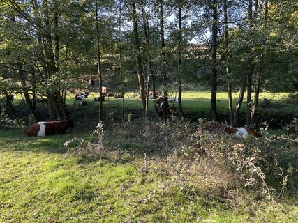 Fotografia z Thorsten Schulze na trase