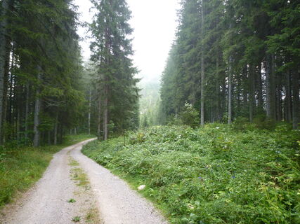 Von Frein die Mürz flussaufwärts