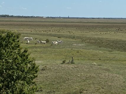 Foto de glanzis a lo largo del recorrido