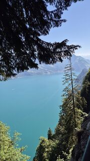 Fotografija s spletne strani Thomi W na poti
