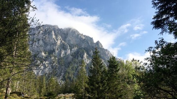 Foto fra Lomalinda undervejs på turen