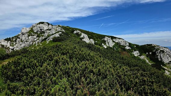 Photo de Danijel Sorola le long du parcours