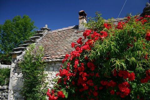 Wandern: Rundwanderweg Nattages