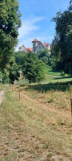 Schloss Liebenstein