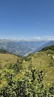 Photo de haasmart le long du parcours