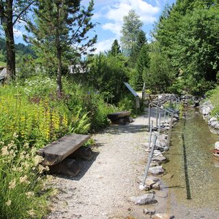 Kneippbecken im Alpengarten