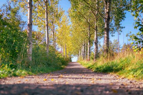 Wanderweg durch die drei Ortsteile