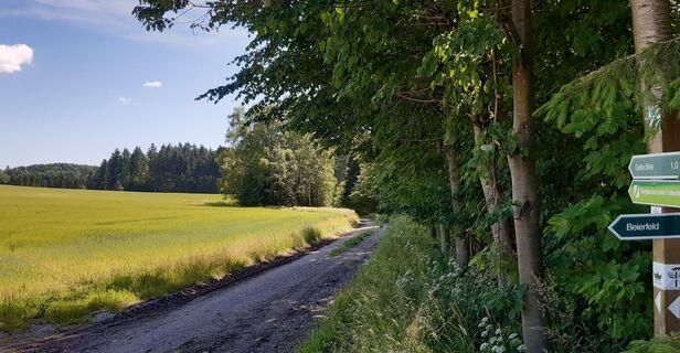 Fröbesteig_Breites Feld