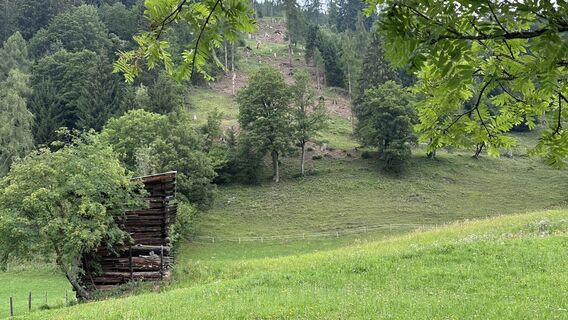 Foto von Mountain Cat ? ⛰️ entlang der Tour