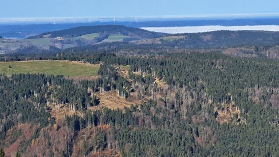 Foto fra Gerhard Faugel underveis på turen
