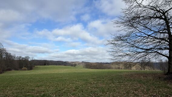 Zdjęcie z Michael Rosenfelder 1 wzdłuż trasy