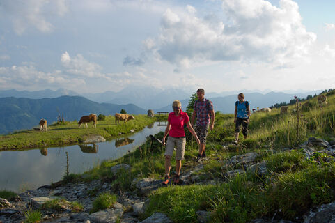 Vorbei am Knappensee