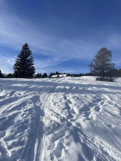 Foto de Amiks a lo largo del recorrido