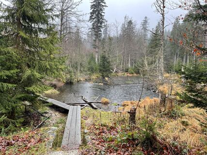 Fotografija s spletne strani Franzl na poti