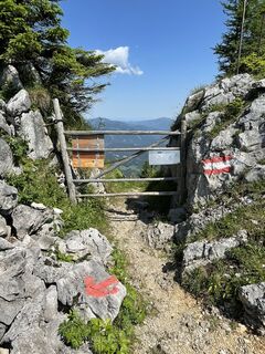 Foto från voeslauer under resans gång
