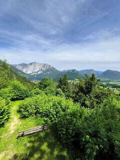 Foto von David Hincziza entlang der Tour