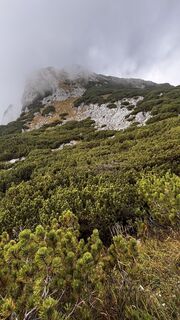 Photo de Simon Beisheim 1 le long du parcours