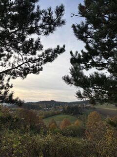 Fotografia z RS76 na trase