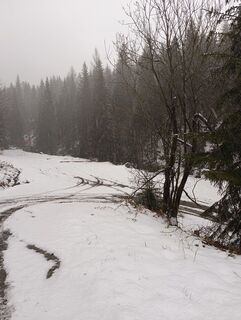 Foto de Romek Dwornik a lo largo del recorrido