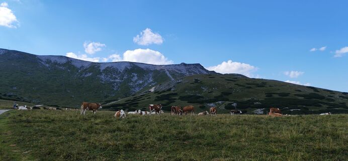 Photo de Gessi le long du parcours