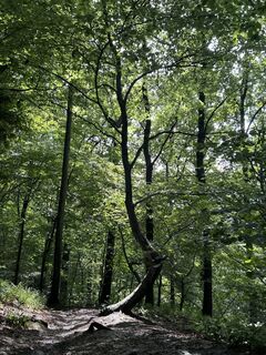 Foto von Robert Christiaans entlang der Tour