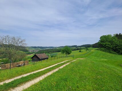 Foto von Wanderbursche66 entlang der Tour