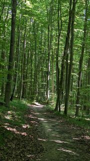 Fotografia z Jele Hannes na trase