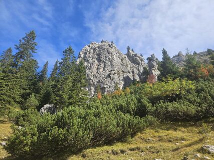 Fotografija s spletne strani hannes.d na poti