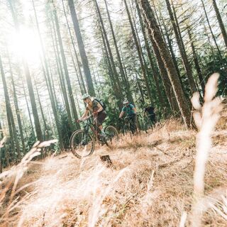 Giw Enduro - Slalom zwischen den Bäumen