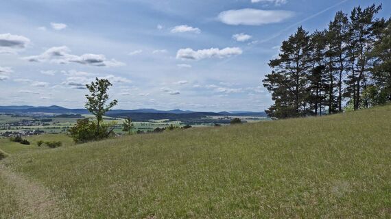 Blick zur Rhön