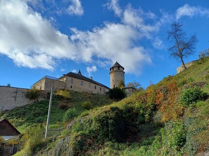 Foto de Wilfried griesser a lo largo del recorrido