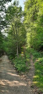 Photo de Monika Dutzler le long du parcours