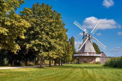 Windmühle Amanda
