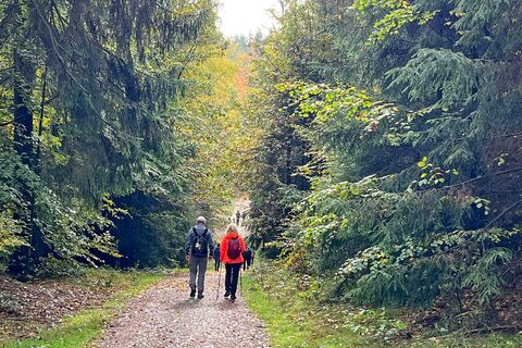 Wanderer auf dem Westwall Weg