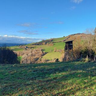 Friedensweg Runde in der kalten Jahreszeit