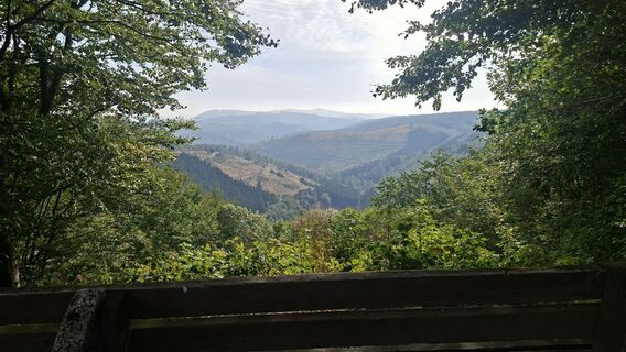 Fotografija s spletne strani Torsten Sledz na poti