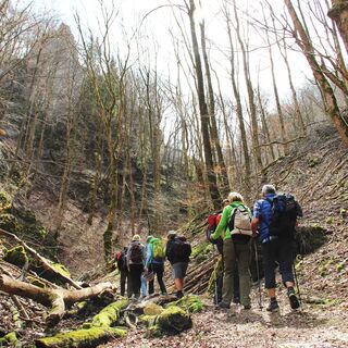 Geführte Wanderung durchs Felsental