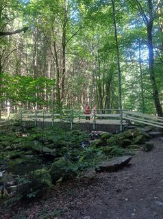 Foto von poettl entlang der Tour