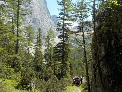 vorbei an Hochschwabriese Gr. Ebenstein