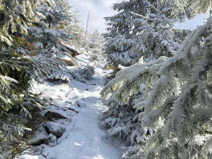 Fotografia z Natur_erleben_dg na trase