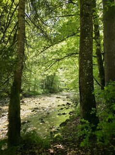 Fotografia z Verena Viktorin na trase