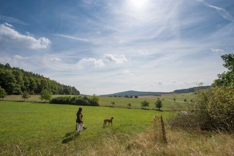 2012-08-23 Naumburg Wiese Elbenberg Am Türmchen