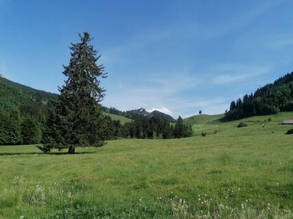 Fotografie z Turbinio na trase