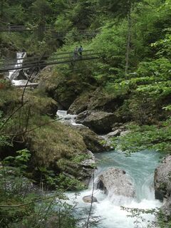 Fotografija s spletne strani Waldläufer na poti