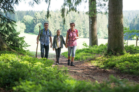 Familie beim Wandern - Wald