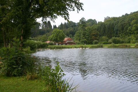 Neumühlsee, Waldenburg, Hohenlohe