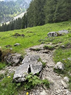 Fotografia z AlexanderK na trase