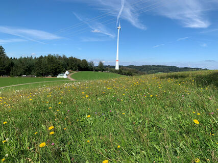 Panoramaweg Freiamt